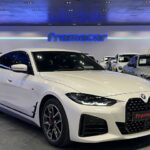 BMW Serie 4 420i Gran Coupe 135 kW (184 CV)