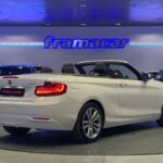 BMW Serie 2 218d Cabrio 110 kW (150 CV)