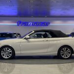 BMW Serie 2 218d Cabrio 110 kW (150 CV)
