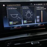 BMW iX1 xDrive30 230 kW (313 CV)