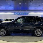 BMW X3 xDrive30e 215 kW (292 CV)