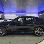 BMW X6 xDrive30d 219 kW (298 CV)