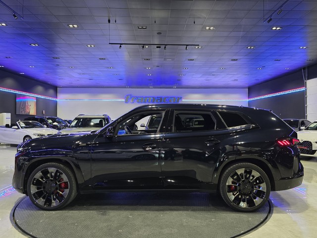 BMW XM 4.4 PHEV 480 kW (653 CV)
