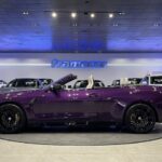BMW M M4 xDrive Cabrio Competition 375 kW (510 CV)